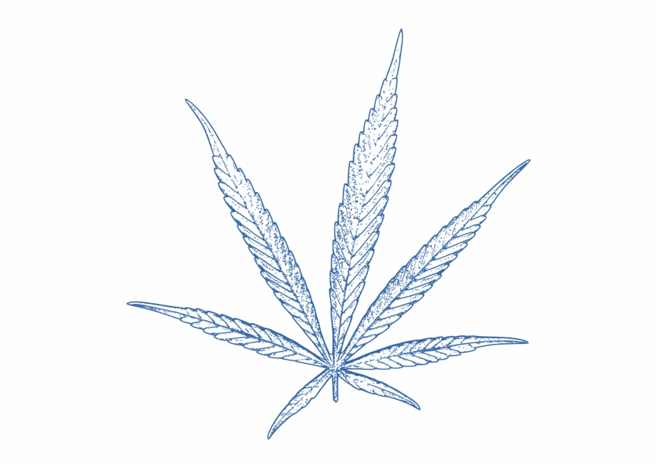 Cannabis Leaf Blue Transparent Marijuana Leaf