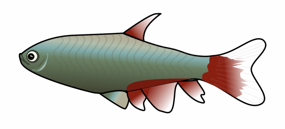 Clipart Fish