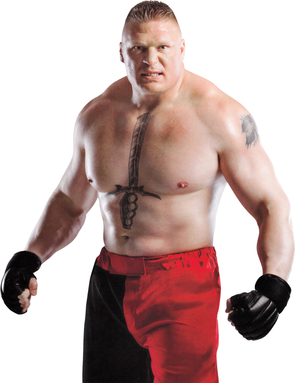 Brock Lesnar Png