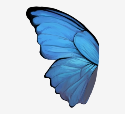 Butterfly Wing Png