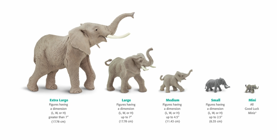 Size Chart Elephants African Elephant Size Chart