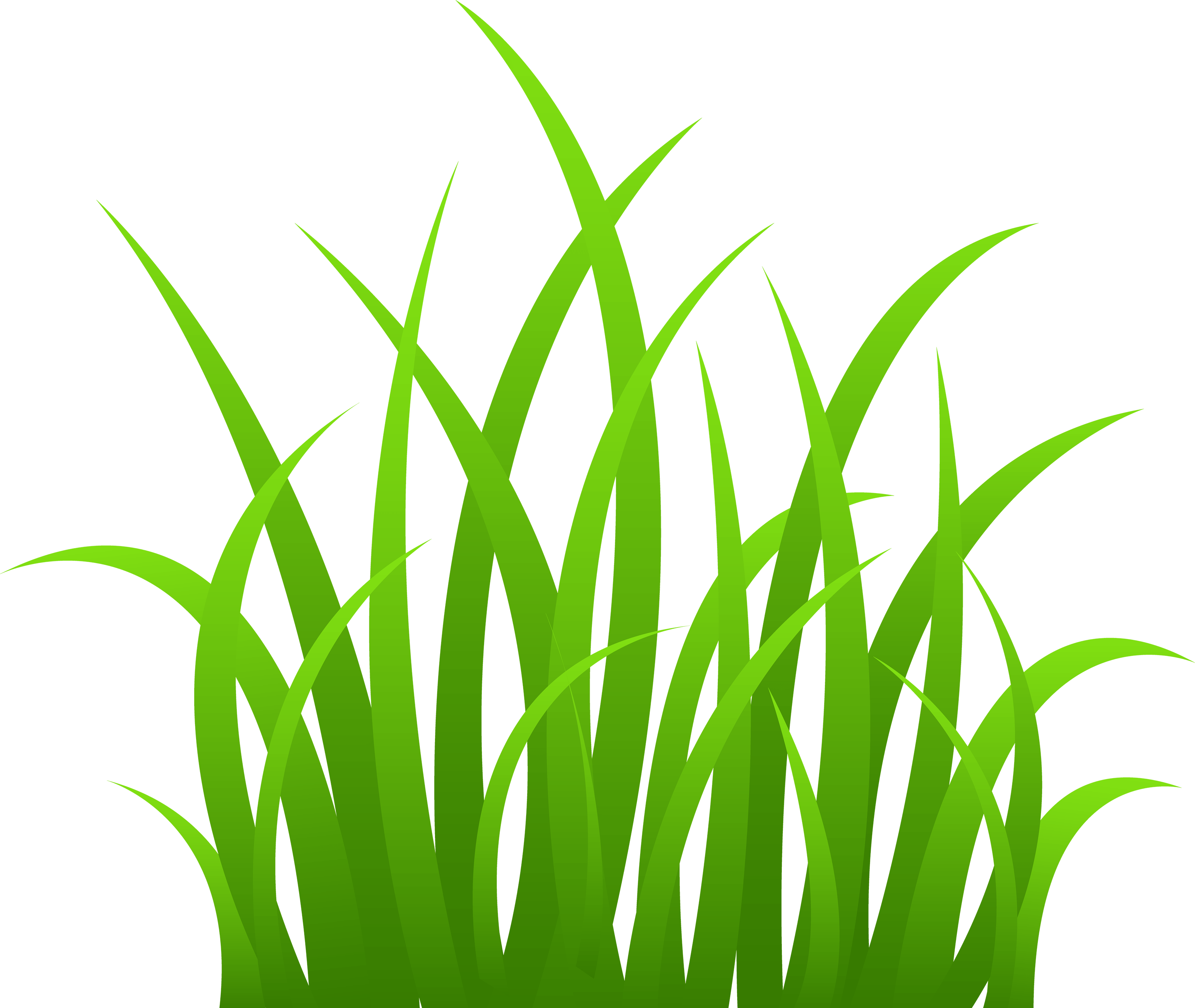 Blades Of Grass Png