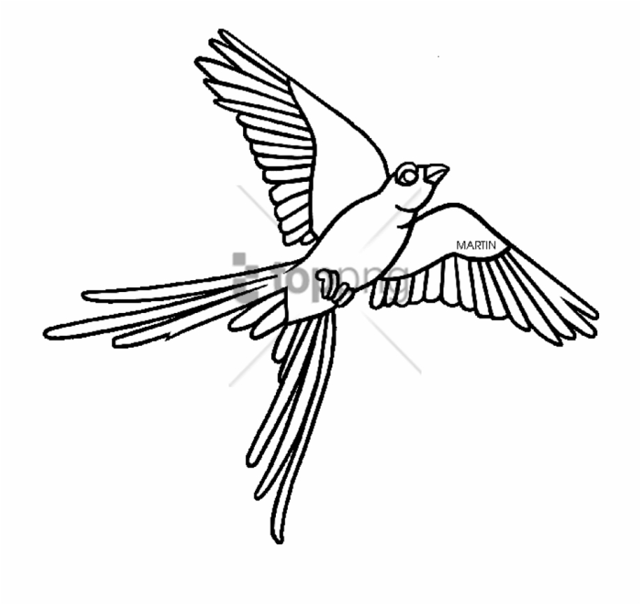 Oklahoma Outline Png Scissor Tailed Flycatcher Clipart