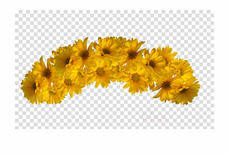 Transparent Flower Crowns Yellow Flower Crown Transparent Background