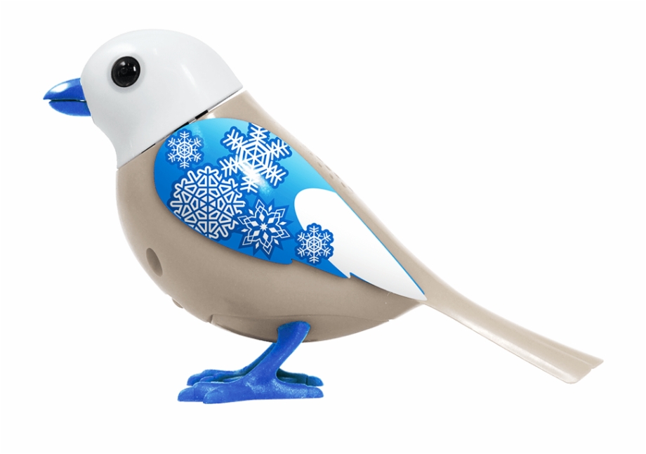 Bird Snowflake Mountain Bluebird