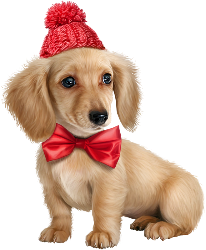 Puppy Pictures Puppy Images Dogs And Puppies Cute