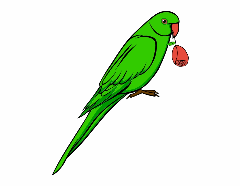 Lovebird Clipart Green Wedding Parrot Bird Clipart