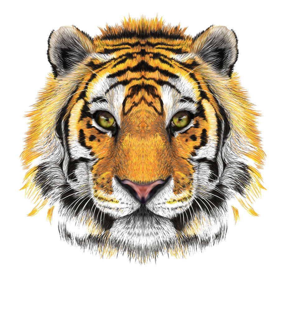 Tiger Face Png Transparent Background Transparent Background Tiger