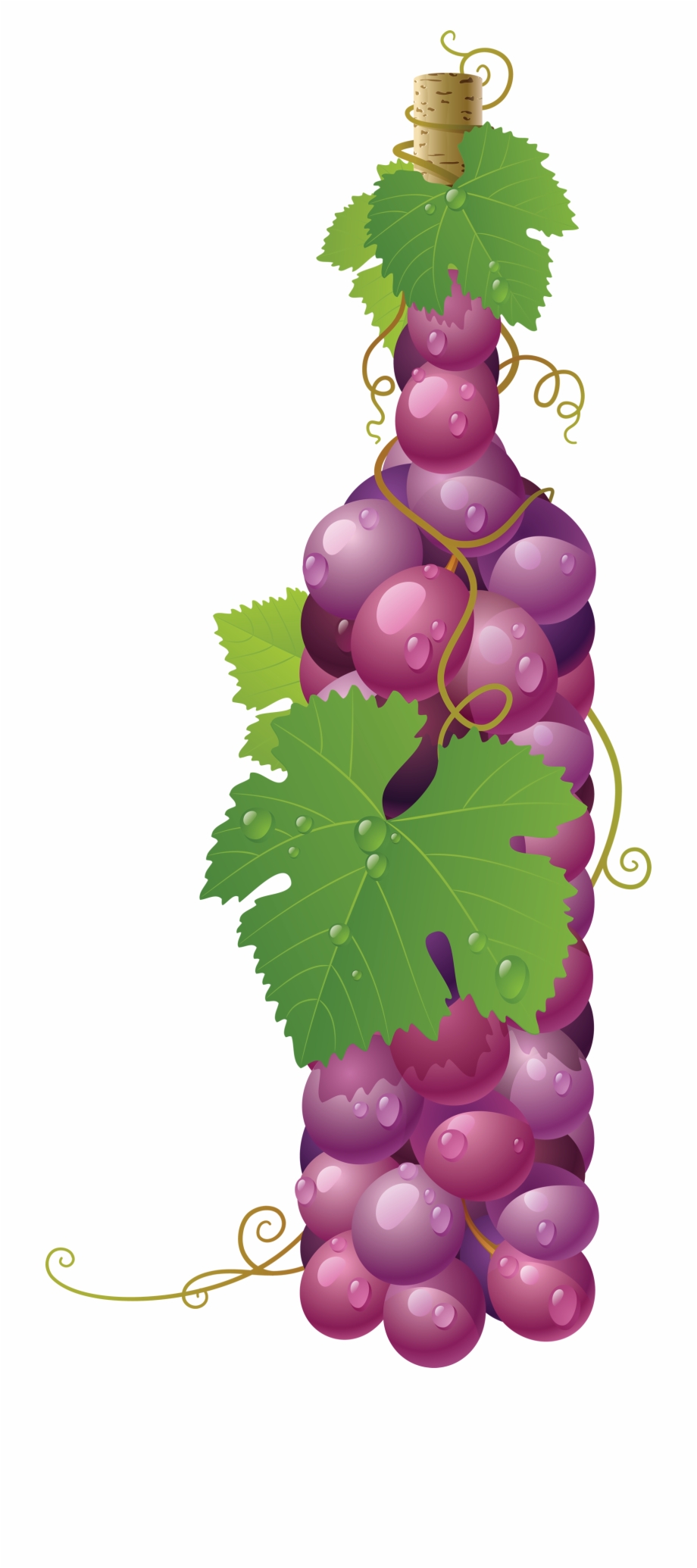Red Grape Png Image Grapes In A Bottle