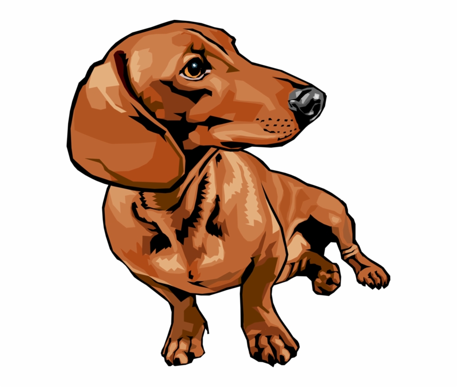 Vector Illustration Of Cute Dachshund Dog Sitting And