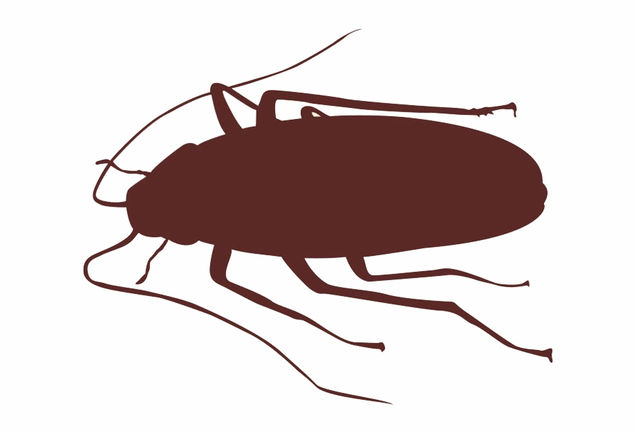Cockroach Insect Silhouette Fly Beetle Png Image Cockroach