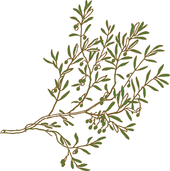 Bush Texture Tile Olive Tree Branch Png
