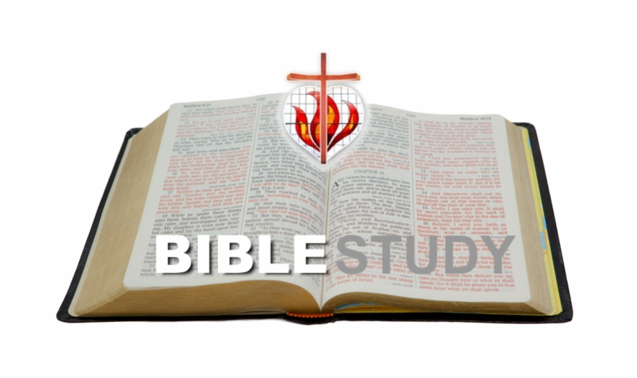 Bible Study Png