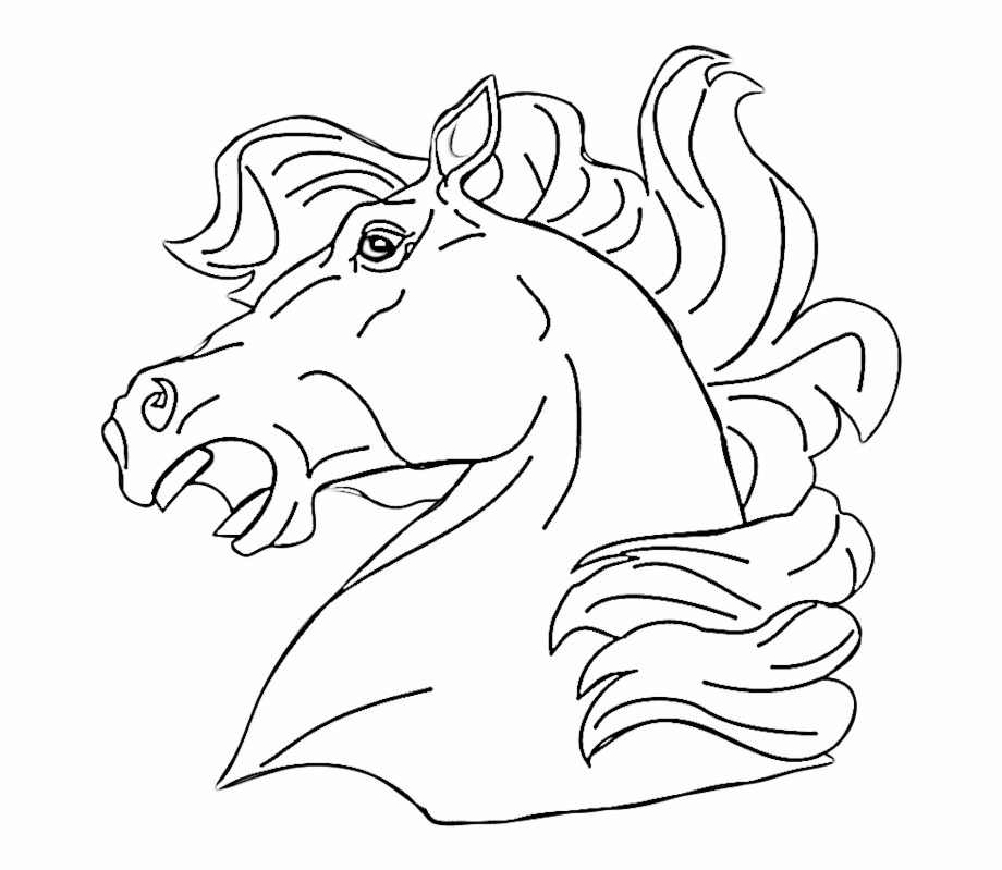 Neighing Horse Head Coloring Page Draw A Greek