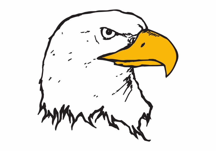 cartoon bald eagle head
