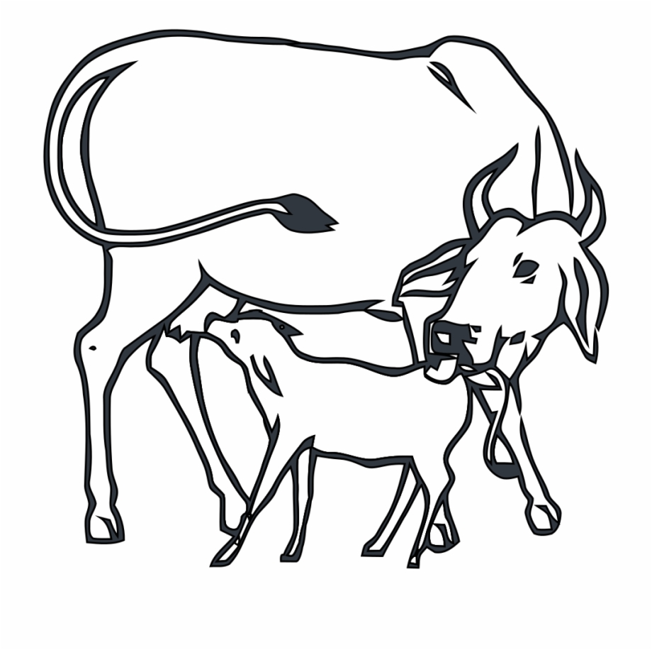 Drawing Cow Child Cow And Calf Congress Symbol