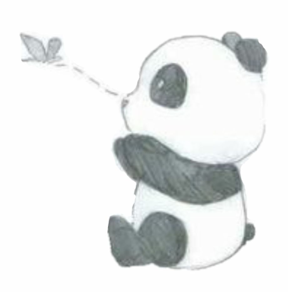 Cute Panda Tumblr Pintrest Easy Cute Panda Drawing
