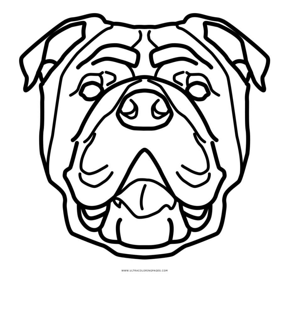 English Bulldog Coloring Page English Bulldog Icon Png