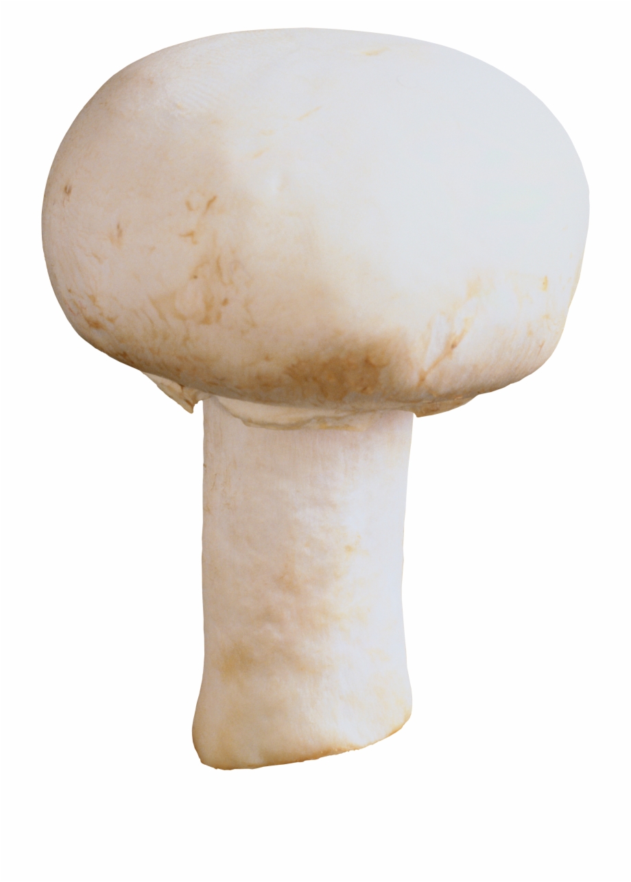 Mushroom Clipart Png Image Transparent Background Button Mushroom