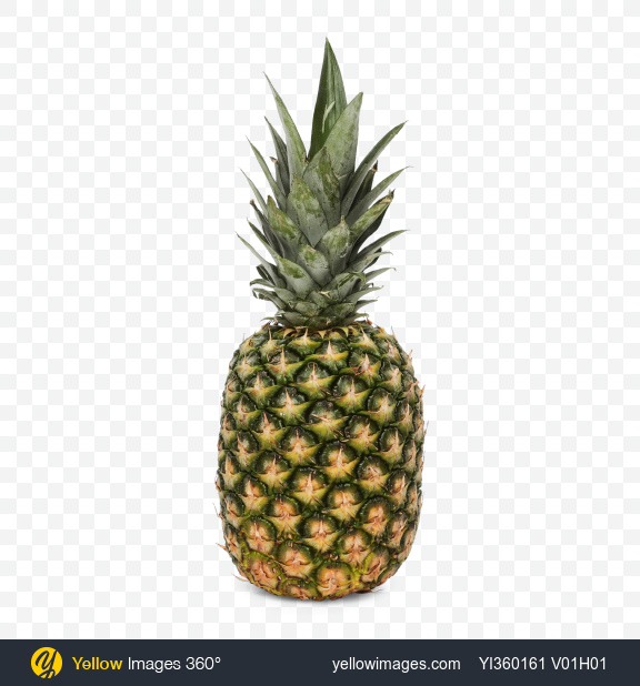 Pineapple Slice Png