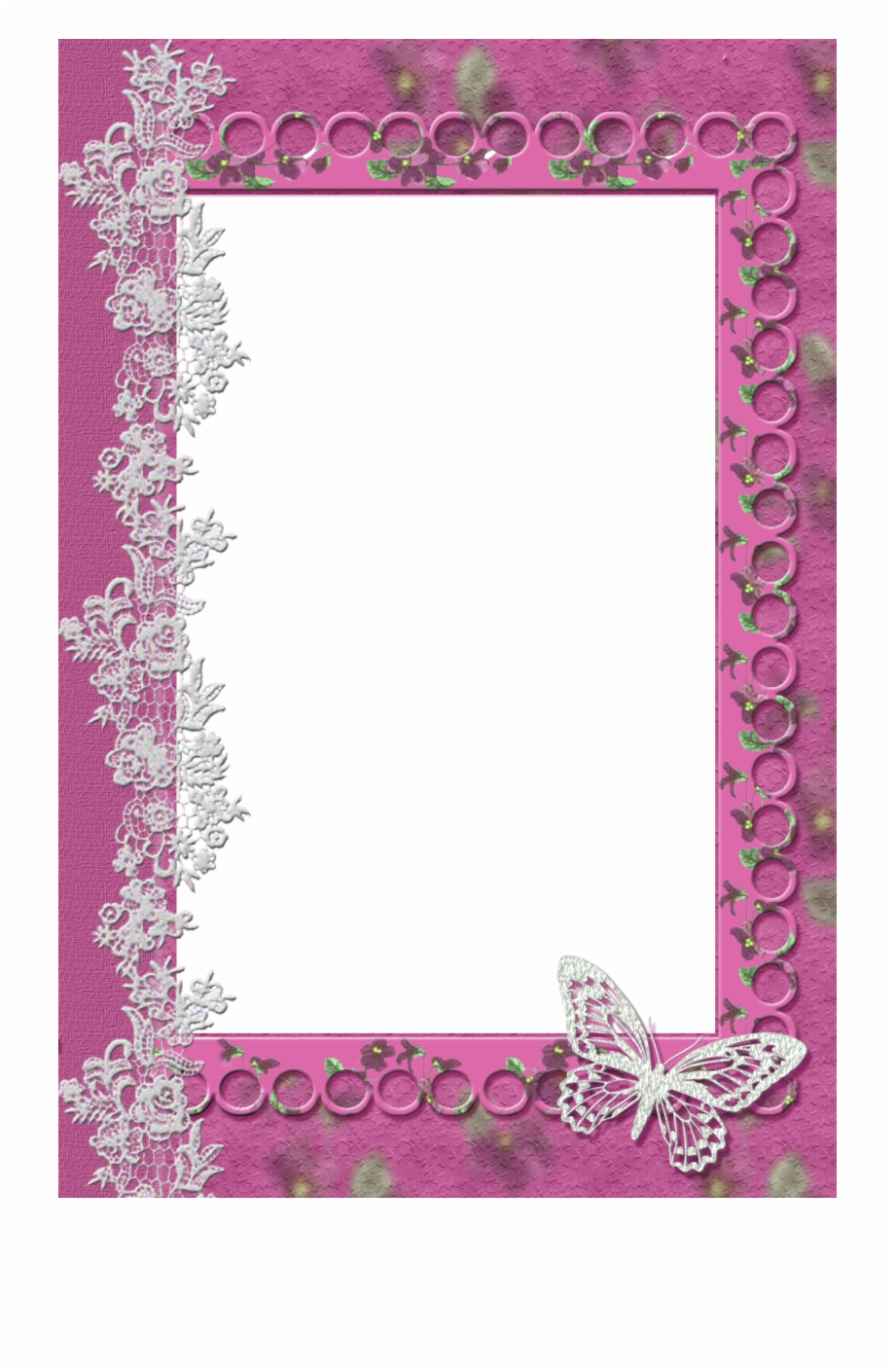 Pink Transparent Frame With Lace Butterfly Butterfly Photo