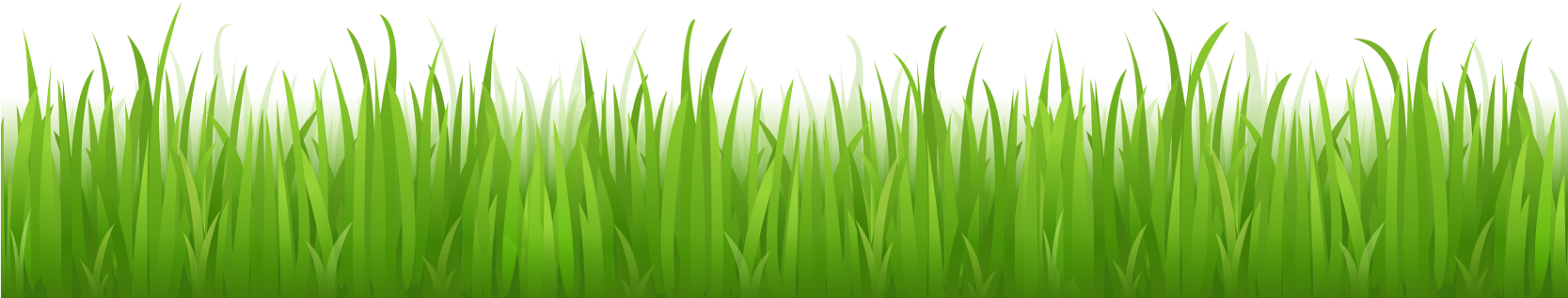 Green Cartoon Drawing - Cartoon green grass png download - 2001*920 - Free  Transparent Green png Download. - Clip Art Library
