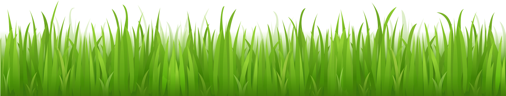 Cartoon Grass Background Top View - cartoon on net