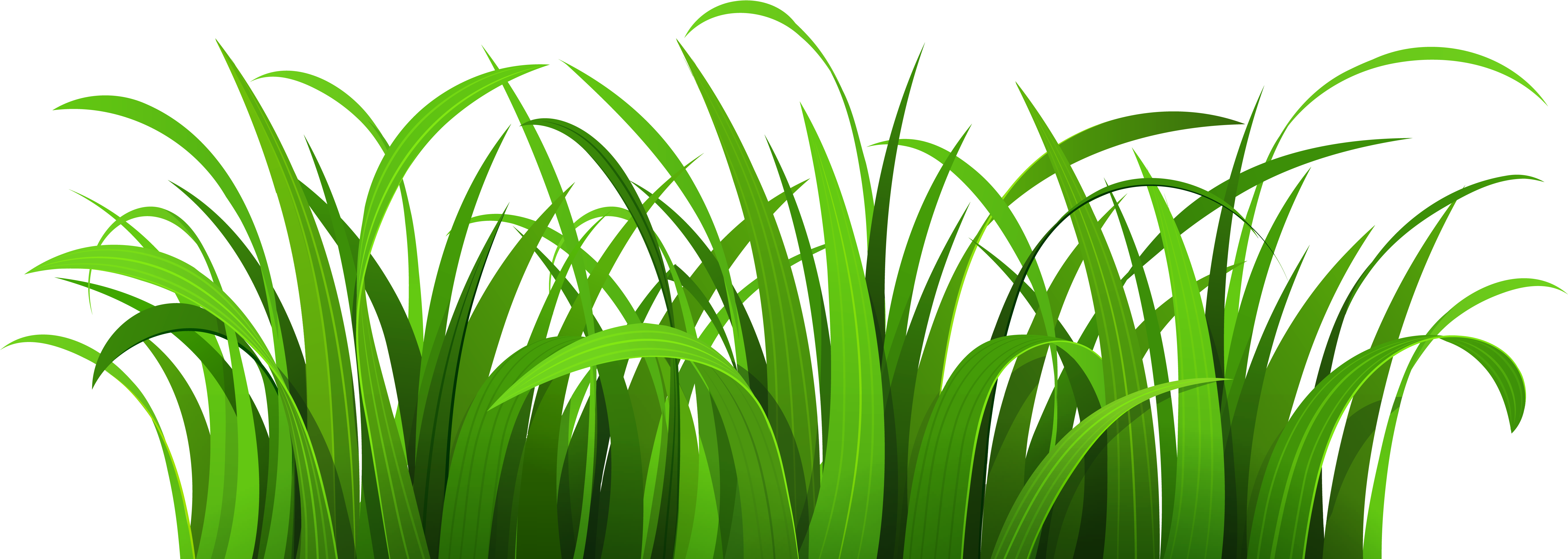 Image Library Library Grass Clipart Png Grass Clipart