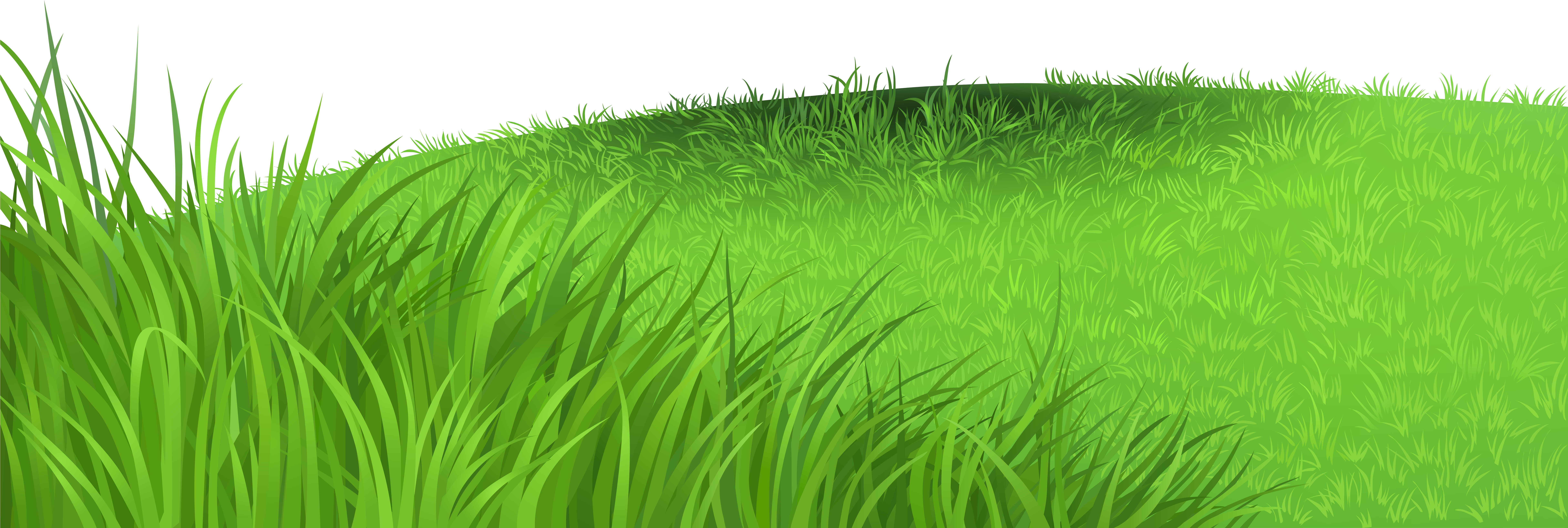 Grass Deco Png Clipart Picture Grass Clipart Png