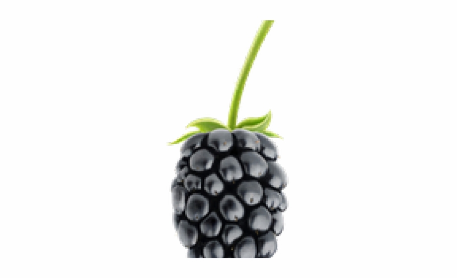 transparent blackberry fruit png
