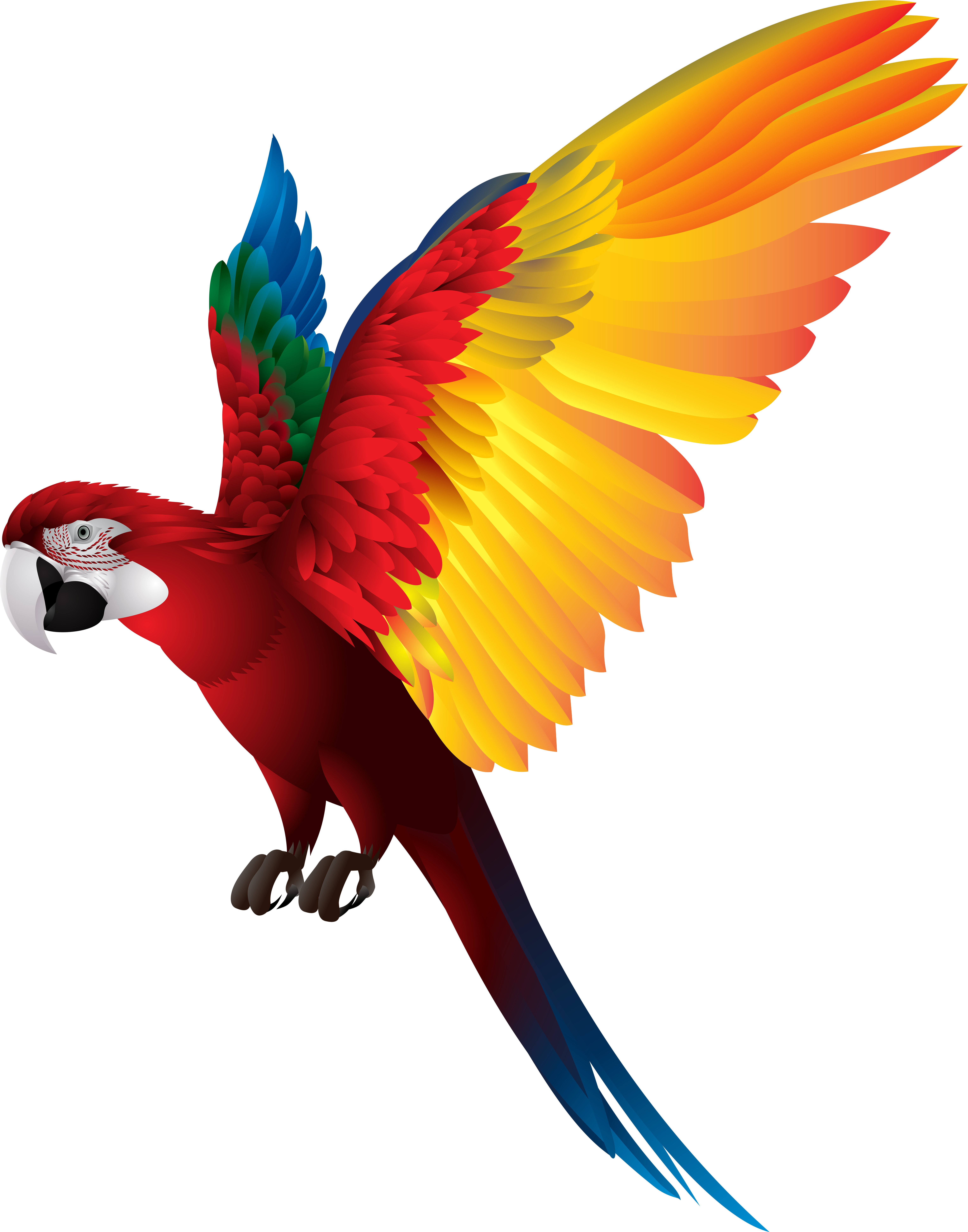 Png Free Library Ftestickers Colorful Bird Sticker Colorful