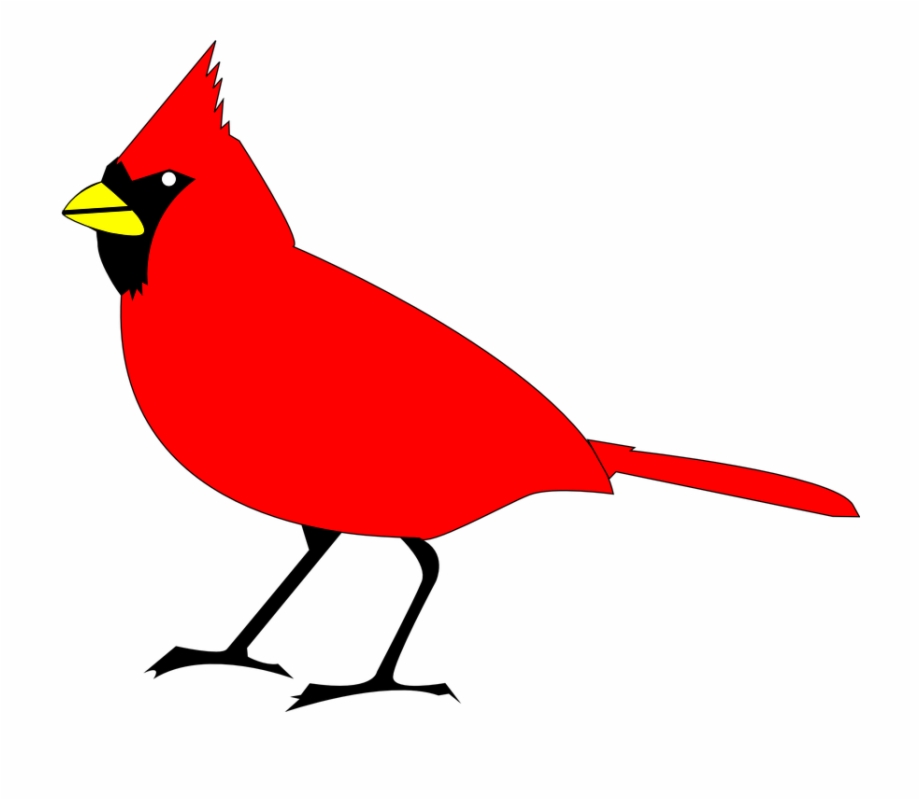 Northern Cardinal Png And Psd Free Download Winter