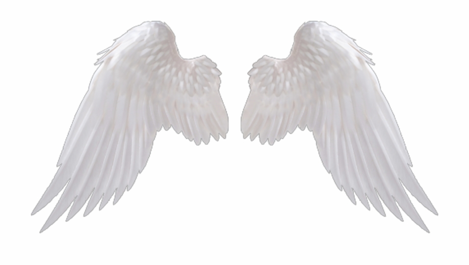 angel wings png transparent

