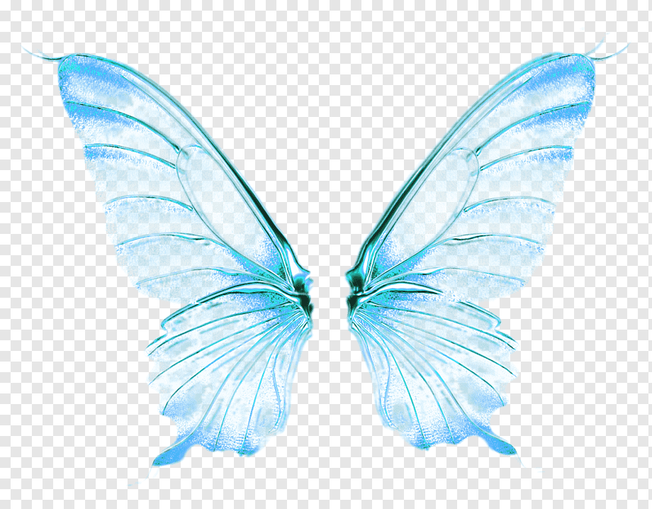 Davvero? 27+ Verità che devi conoscere Fairy Wings Png Transparent! Pin