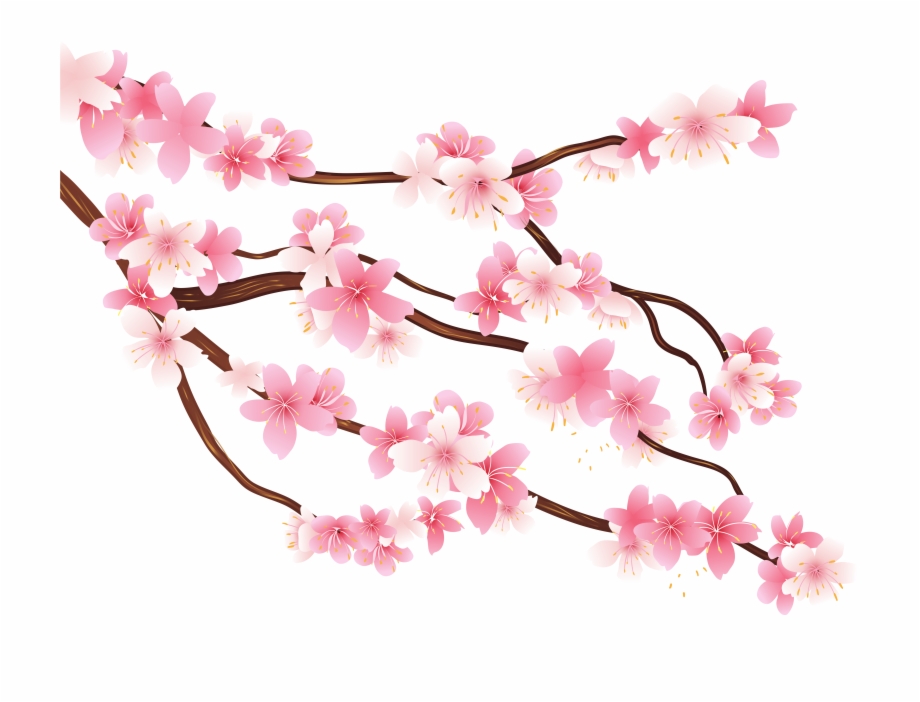 Pink Spring Branch Png Clipart Image Transparent Background