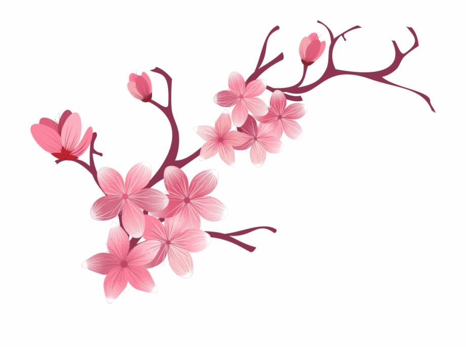 Cherry Blossom And Butterfly Png