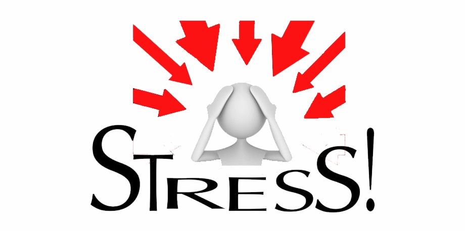 Stress Stress And Conflict