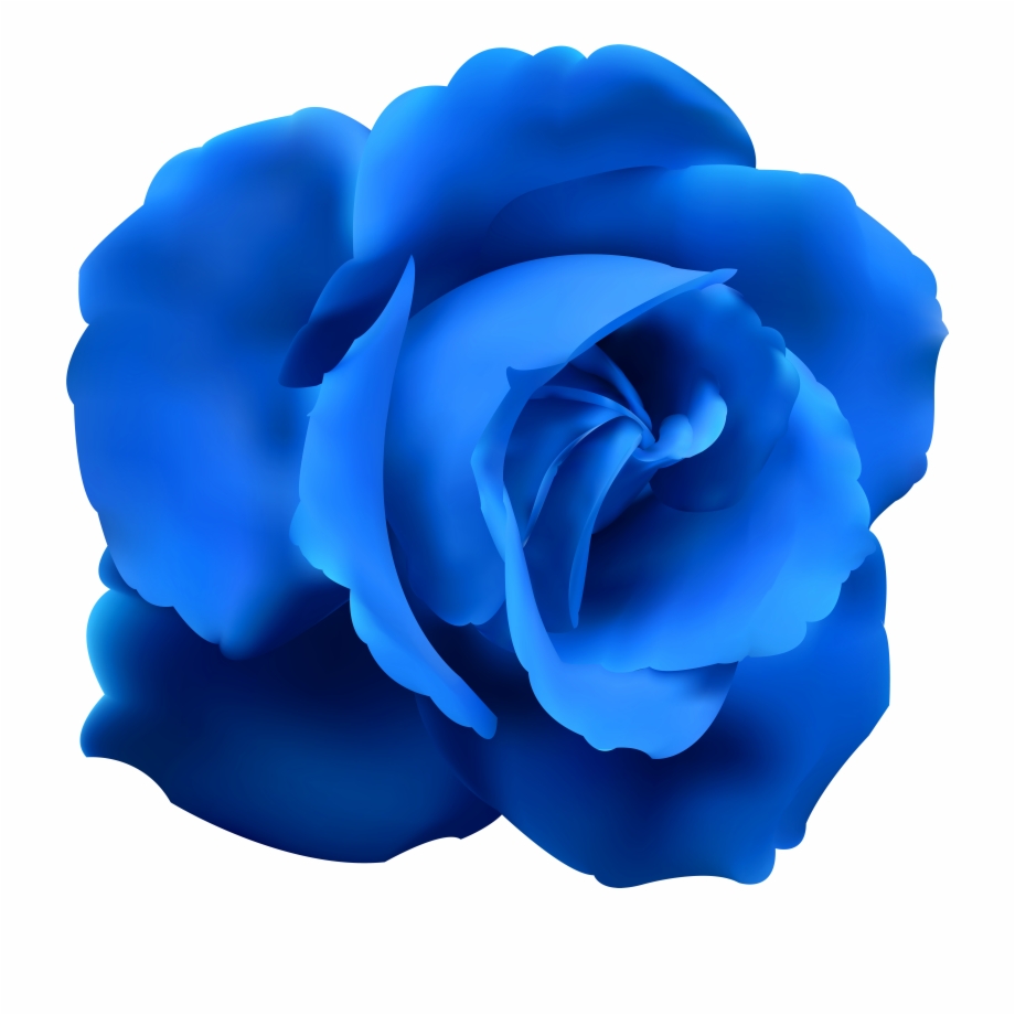 Rose Clip Art Blue Flowers No Background