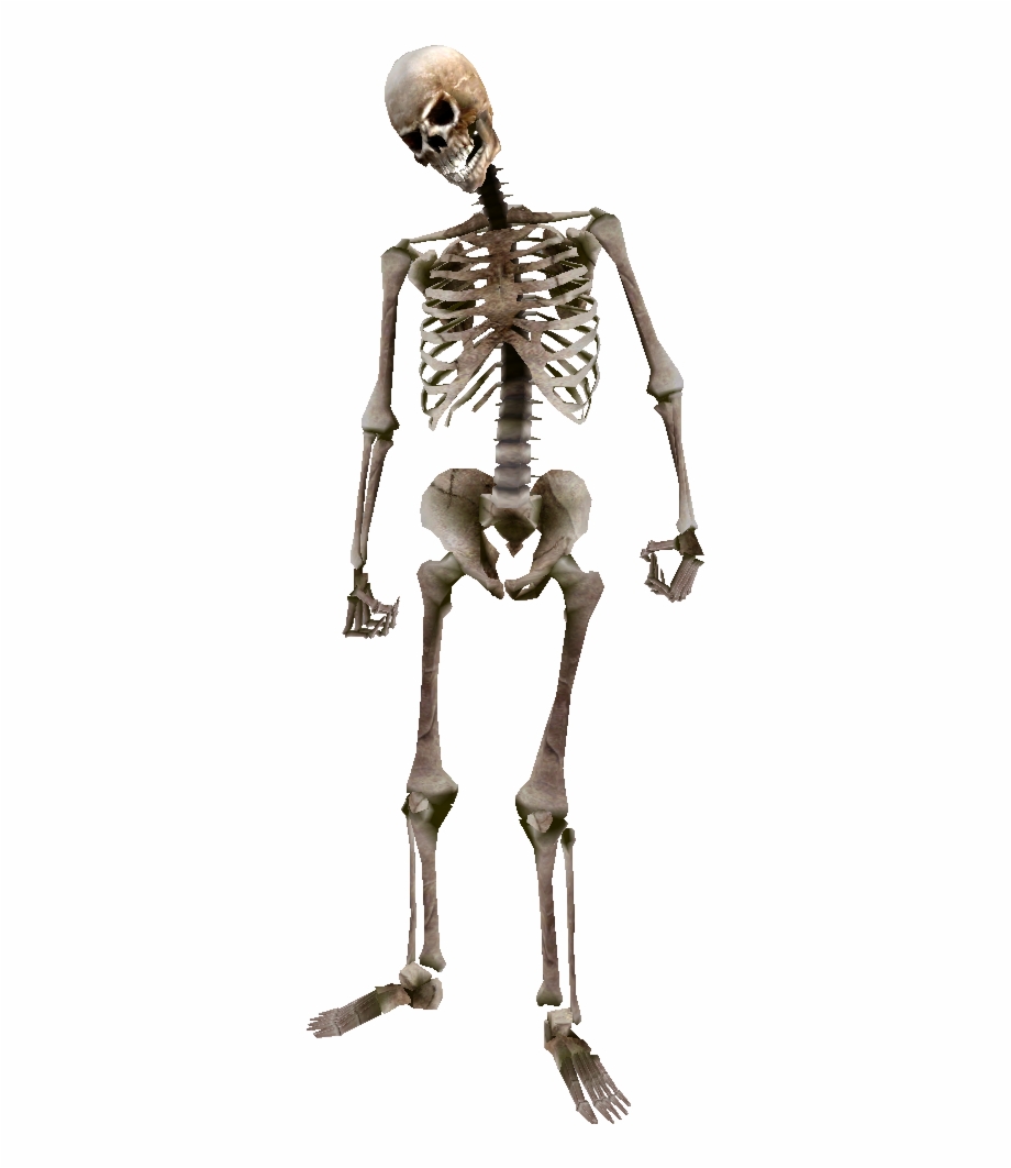 Beast Oblivion Skeleton Png Garrys Mod Fast Zombie