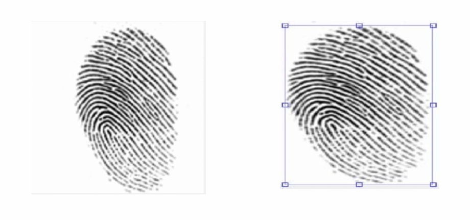 Fingerprint Transparent Mixed Crime Scene Fingerprints