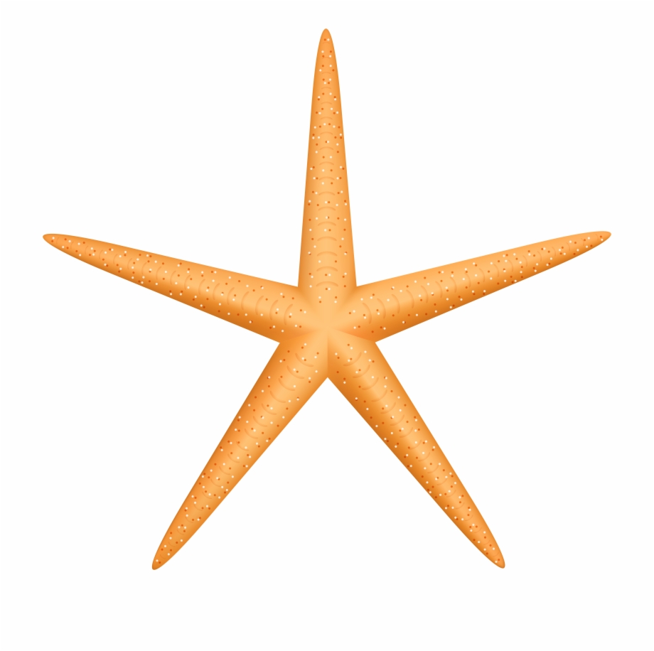 Yellow Starfish Png Clip Art