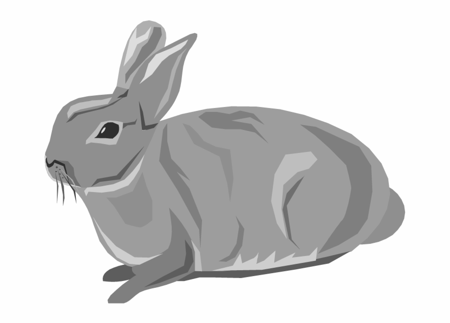 Rabbit Clipart Rabbit Animals Clip Art Downloadclipart Transparent