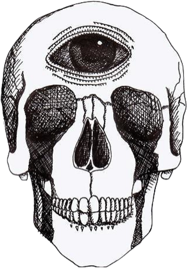 transparent aesthetic skull
