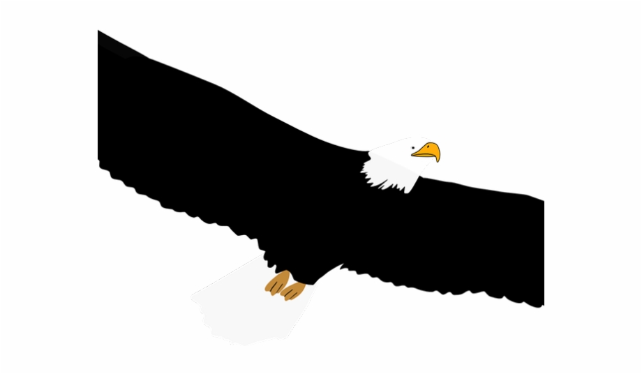 Bald Eagle Clipart Transparent Background Eagle