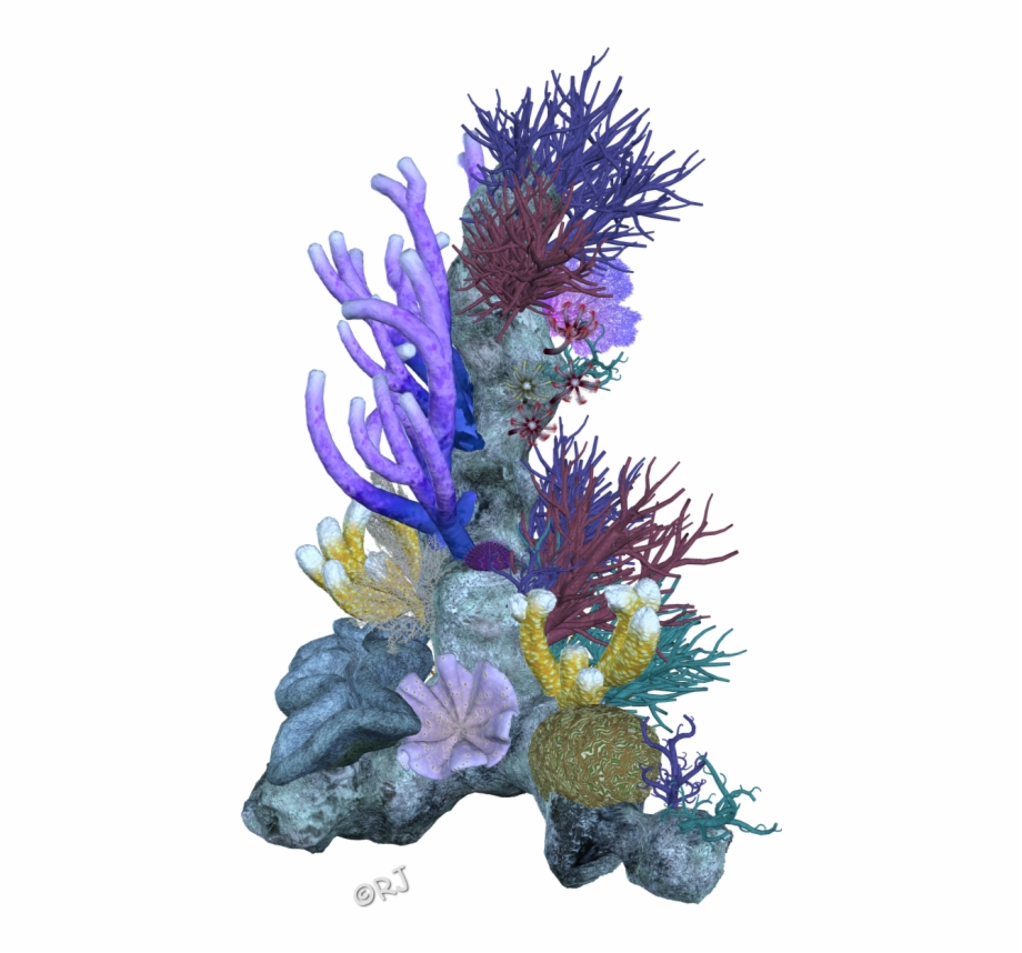 Pin Coral Reef Clipart Png Coral Reef Transparent