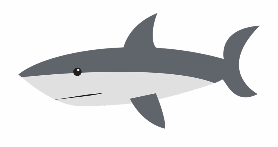 Aleta Tiburon Png Shark Clipart