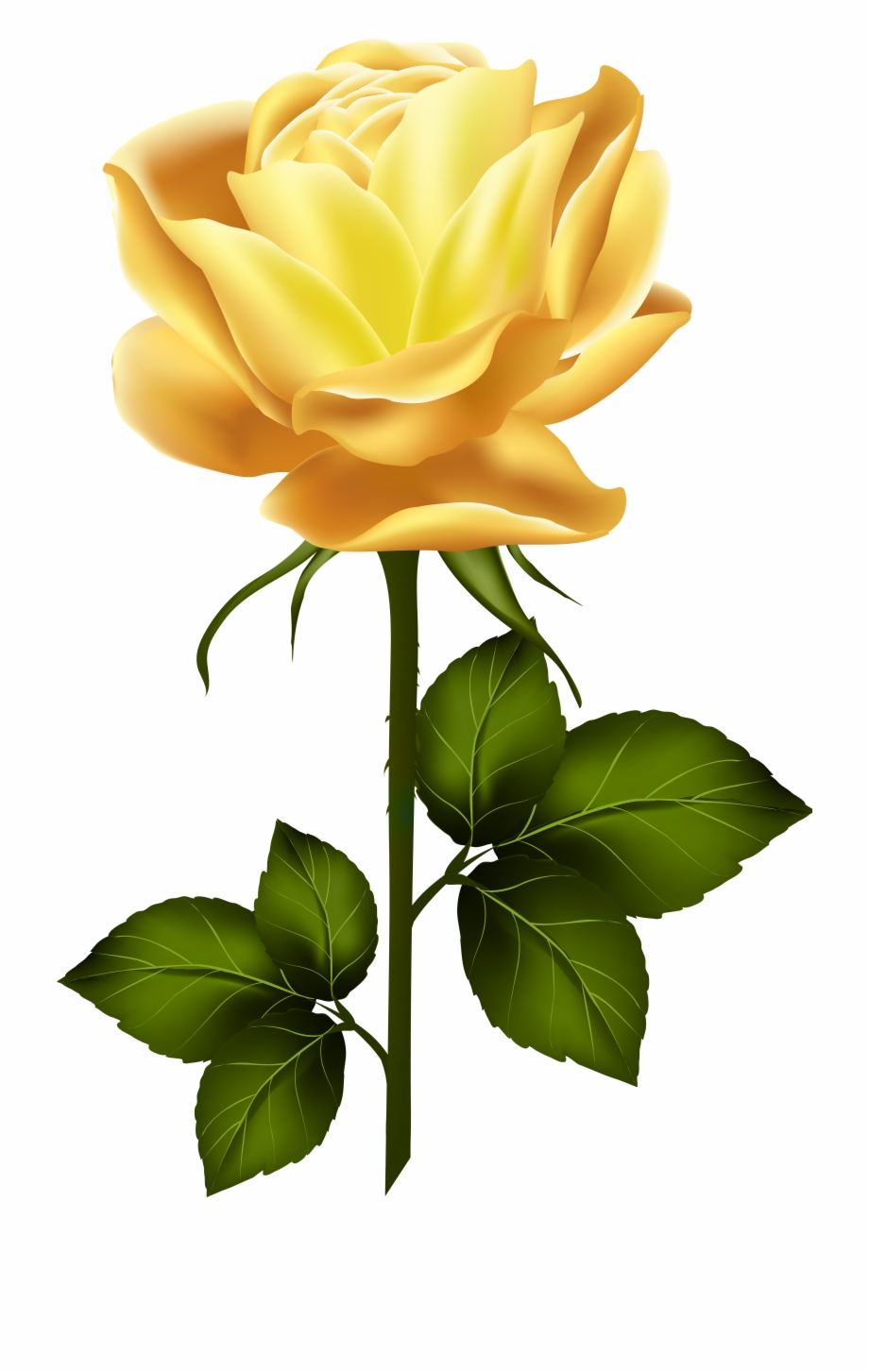 Yellow Rose With Stem Png Clip Art Pink