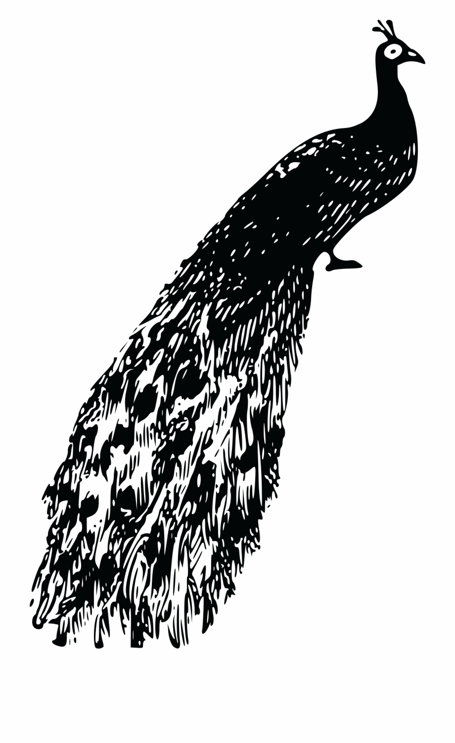 Free Peacock Clipart Black And White, Download Free Peacock Clipart