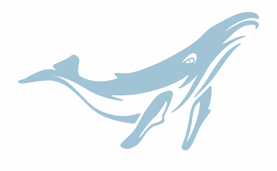 Blue Whale Png