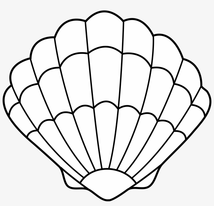 shell clipart black and white
